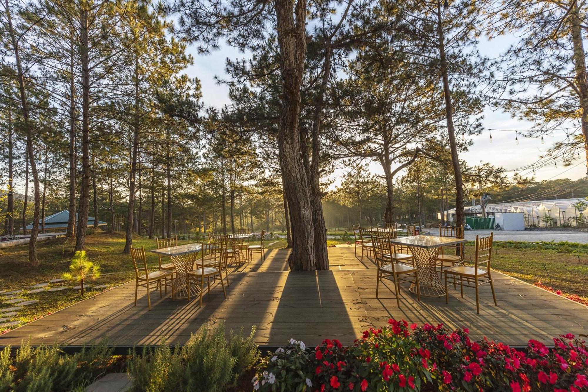 Kim Resort - Khu Nghi Duong Rung La Kim Da Lat Exterior photo
